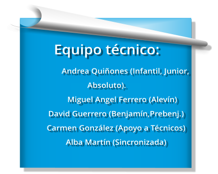 Equipo técnico:     		Andrea Quiñones (Infantil, Junior, Absoluto).       Miguel Angel Ferrero (Alevín) David Guerrero (Benjamín,Prebenj.) Carmen González (Apoyo a Técnicos) Alba Martín (Sincronizada)